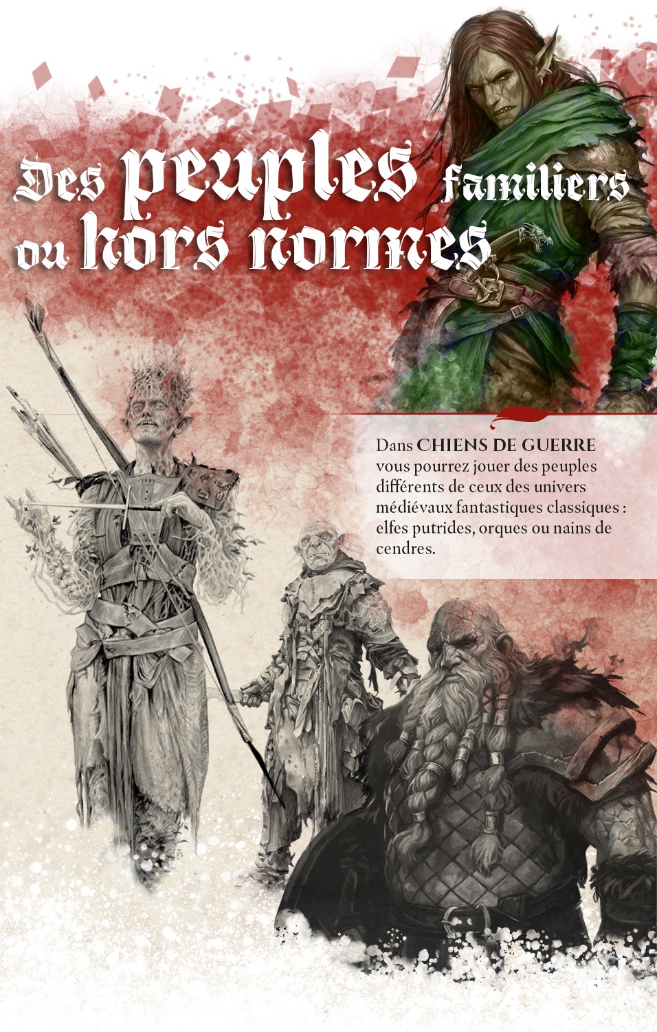 campaign image 4