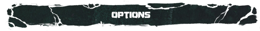 campaign image 13