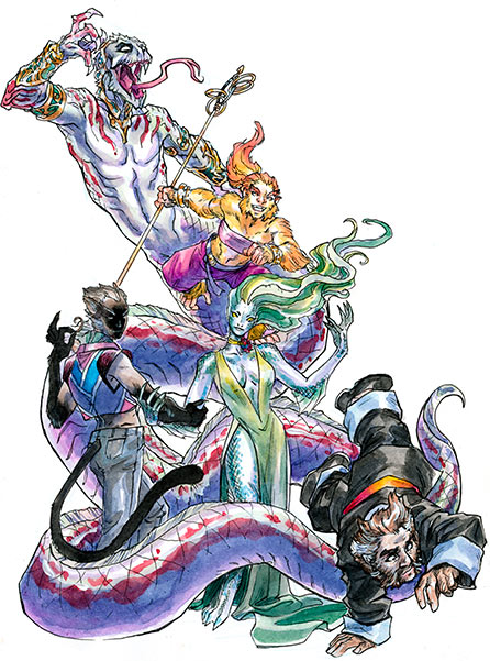 campaign image 14