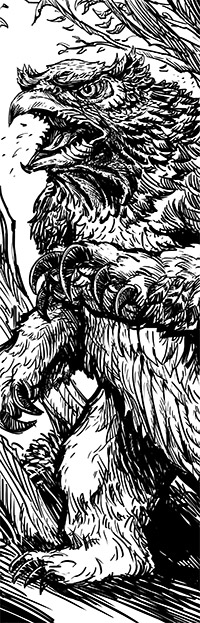 campaign image 5