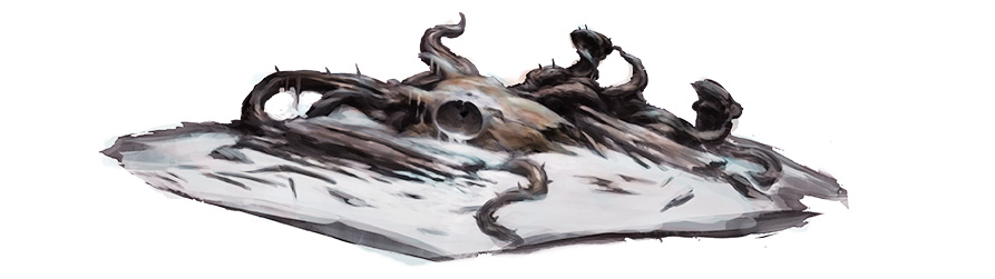 campaign image 4