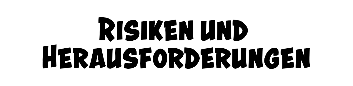 Risiken und Herausforderungen