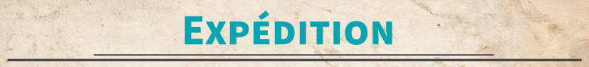campaign image 11
