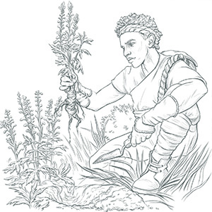 campaign image 6