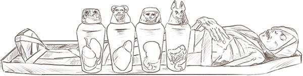 campaign image 11