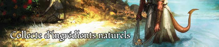 campaign image 5