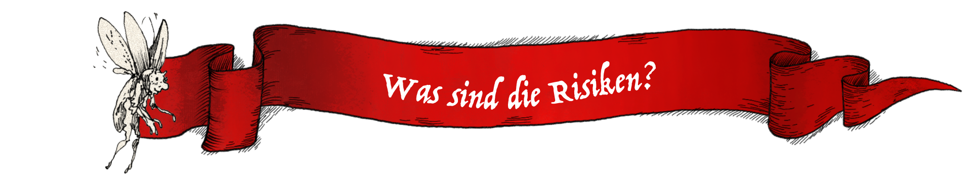 Was sind die Risiken?