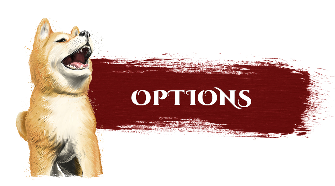 campaign image 7