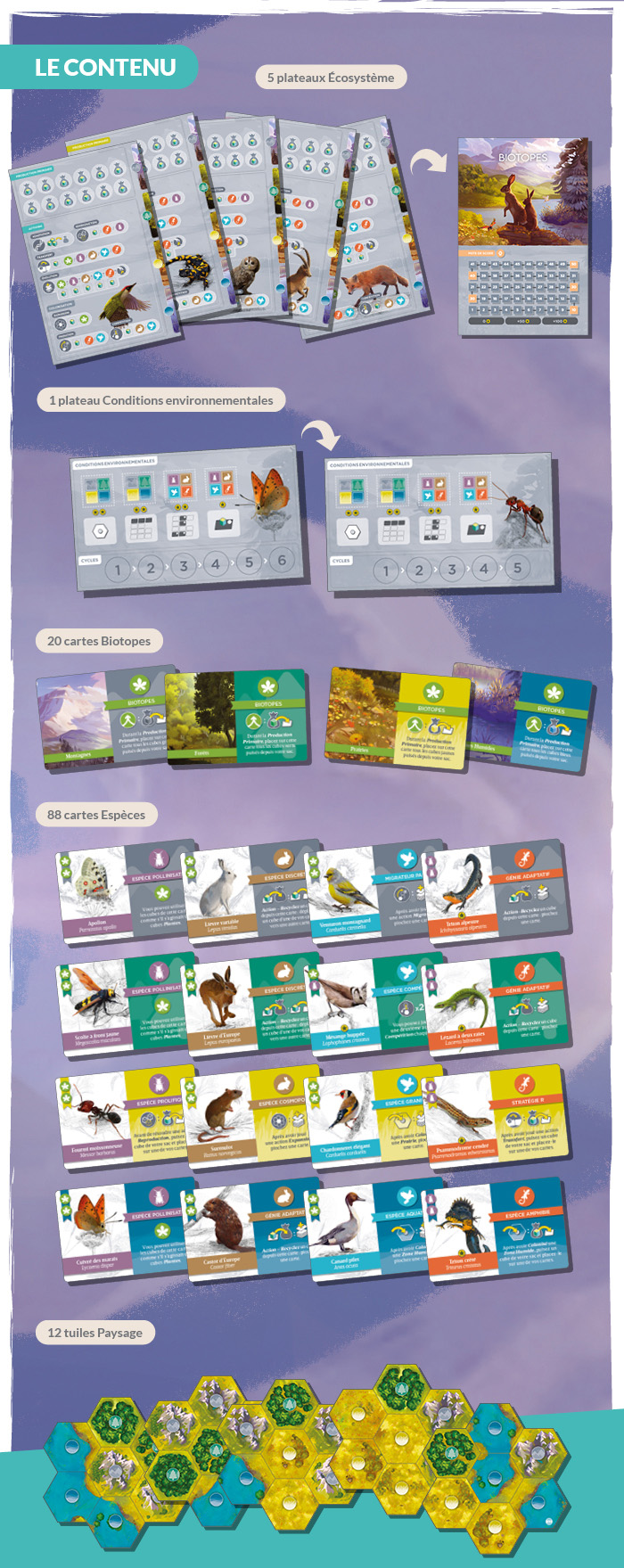 campaign image 4