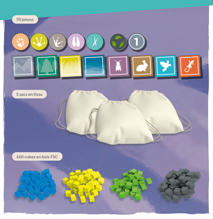 campaign image 5