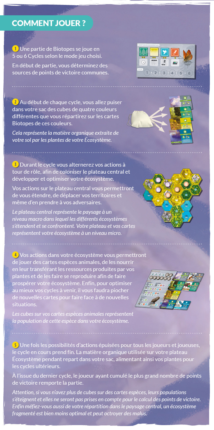 campaign image 6