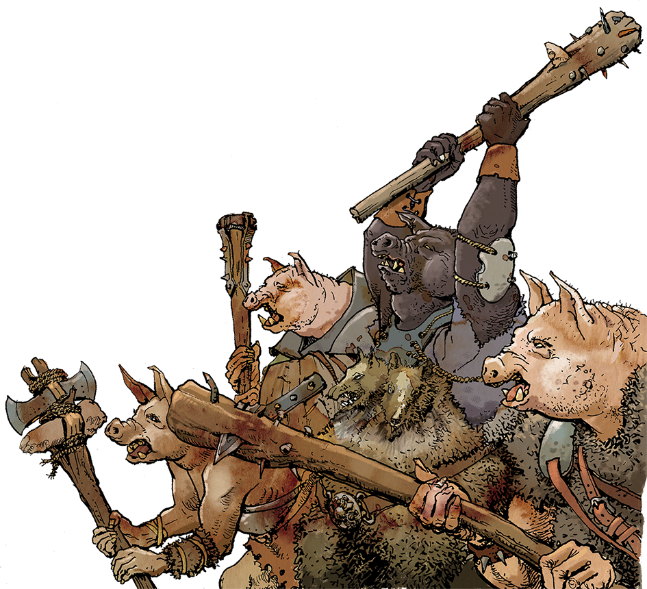 campaign image 15