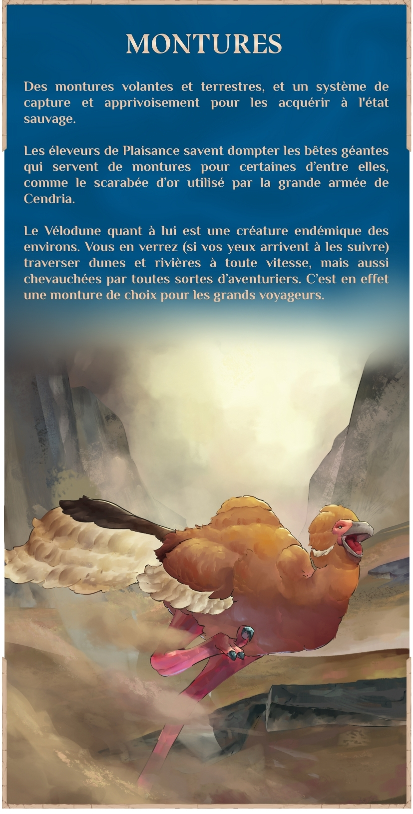 campaign image 14