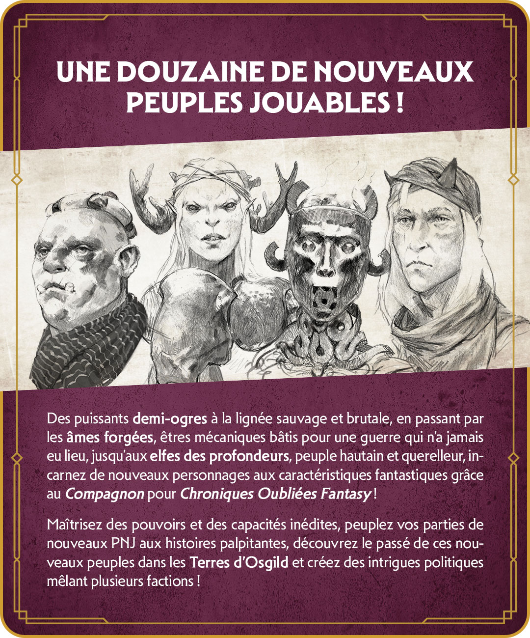 campaign image 13