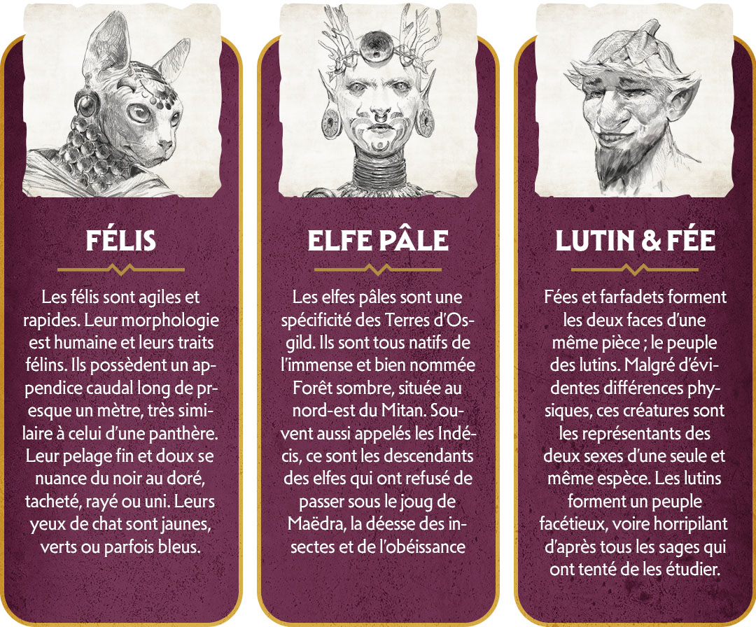 campaign image 15