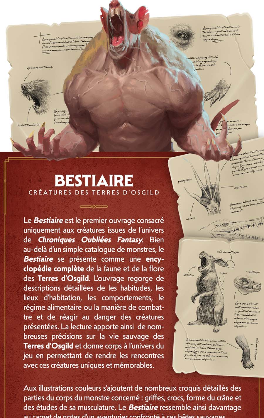 campaign image 20