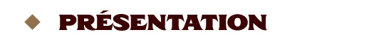 campaign image 4