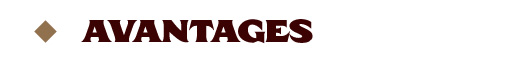 campaign image 6