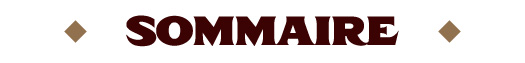 campaign image 3