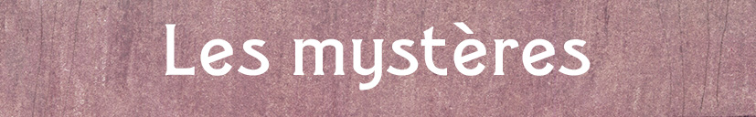 campaign image 8