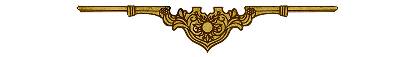 campaign image 7