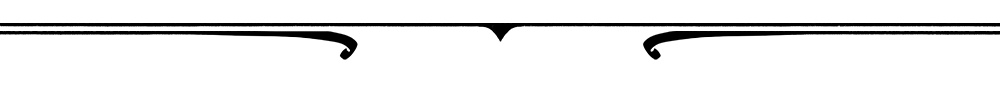 campaign image 11