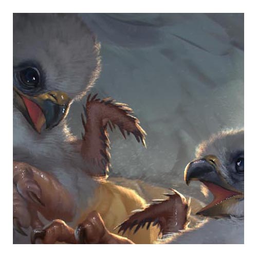 campaign image 12