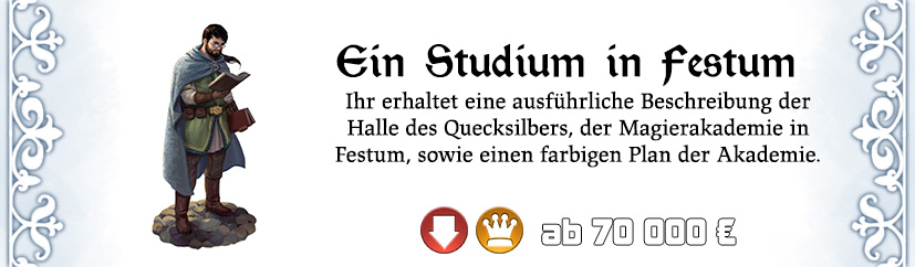 Ein Studium in Festum