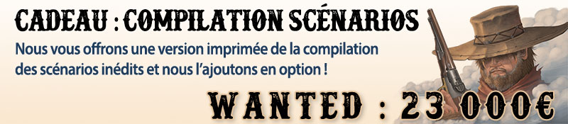 Palier 13 : Goodies sortie en print du recueil de scénario + option