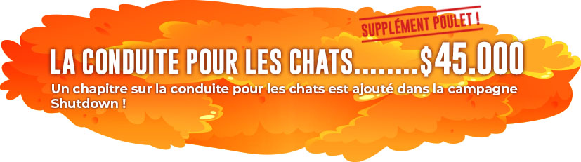 La conduite pour les chats