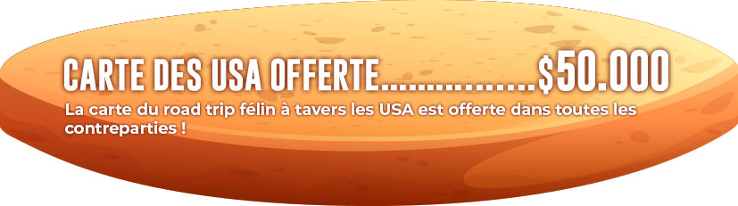 Poster carte des USA