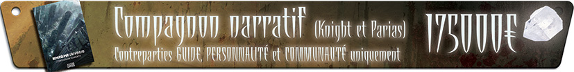 Compagnon narratif