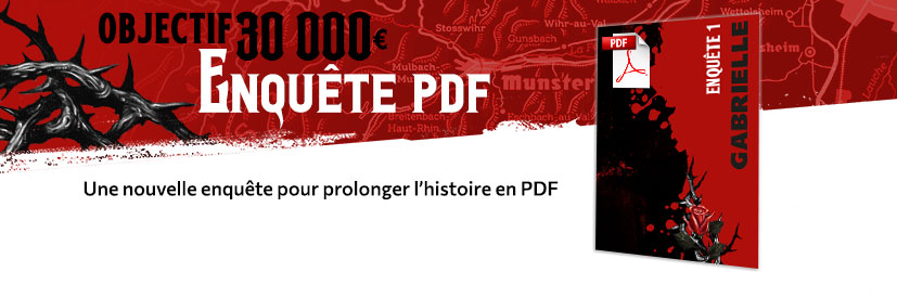 Enquête PDF 1