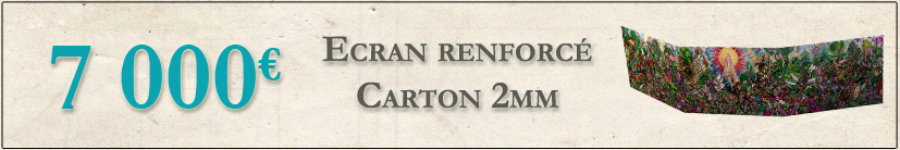 Ecran renforcé