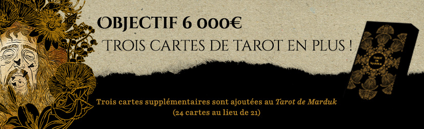 Trois Cartes de Tarot en plus !