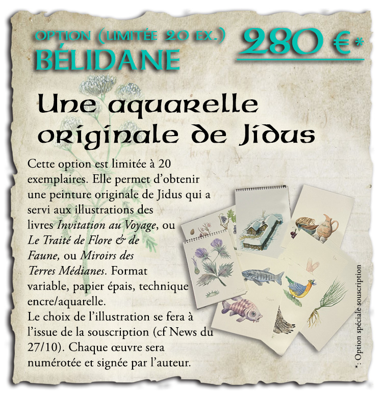 Option Bélidane