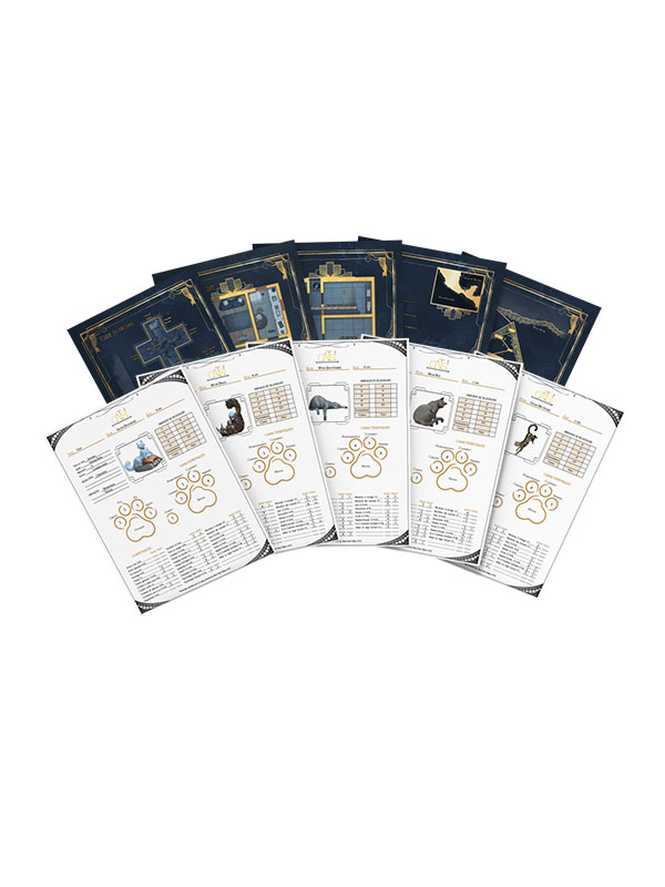 Cats! the Conspurracy - Gift Pack