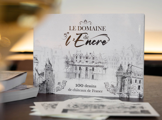 100 dessins de châteaux de France