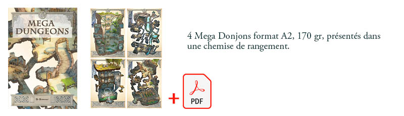 Mega Donjons