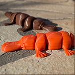 Ornithorynque 3D