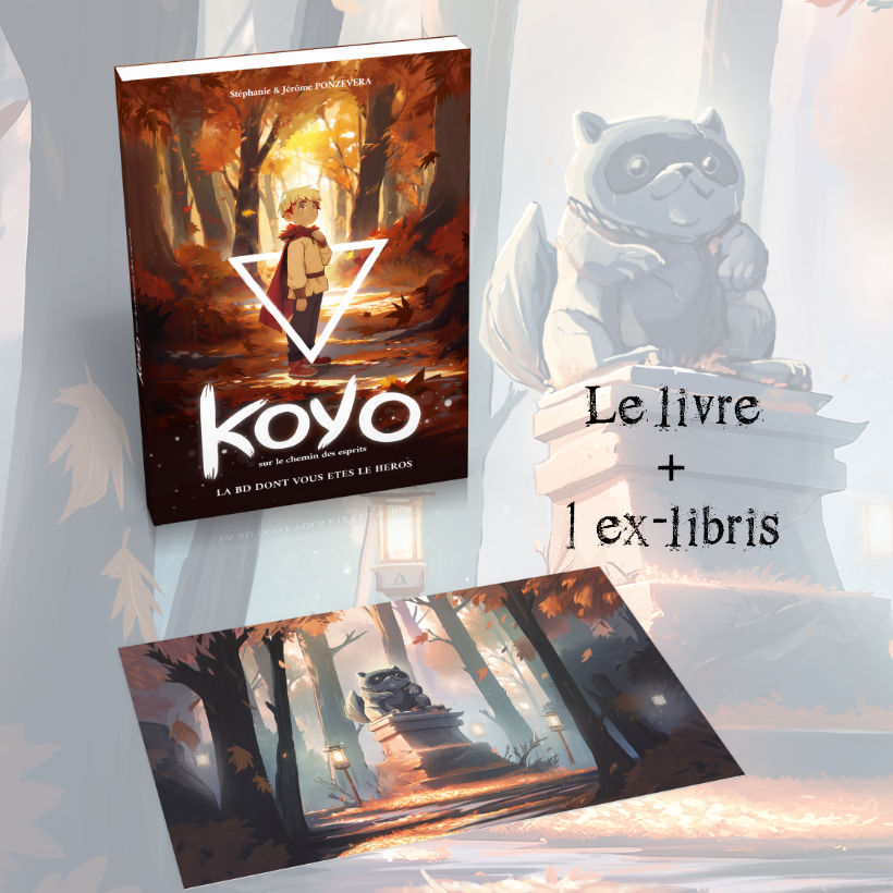 Offre 1