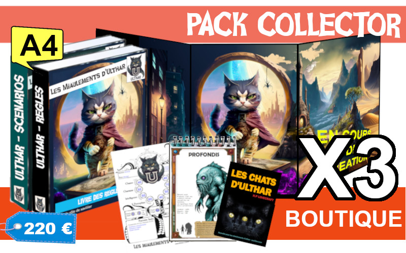 Pack Collector boutique X3