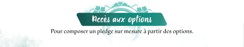 Accès aux options
