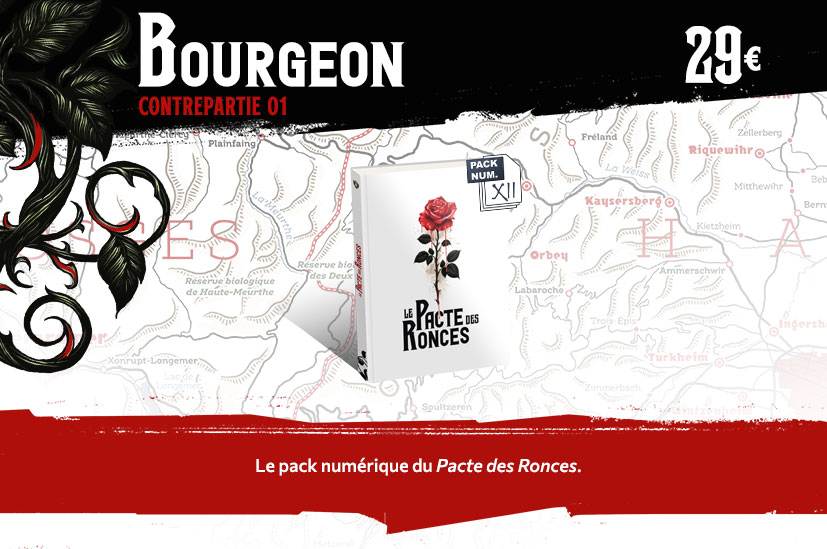 Bourgeon