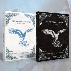 Offre 5