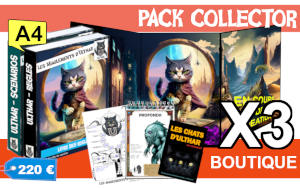 Pack Collector boutique X3