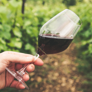 Sommelier