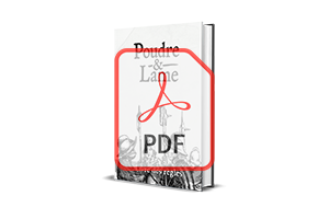 Digionnais (PDF)
