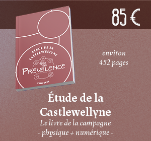 Etude de la Castlewellyne - physique