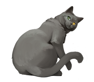 Merkatzor